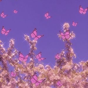 Meet your Posher, Xuralia